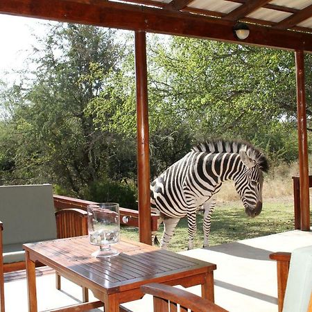 Turaco Lodge - No Loadshedding Marloth Park Eksteriør bilde