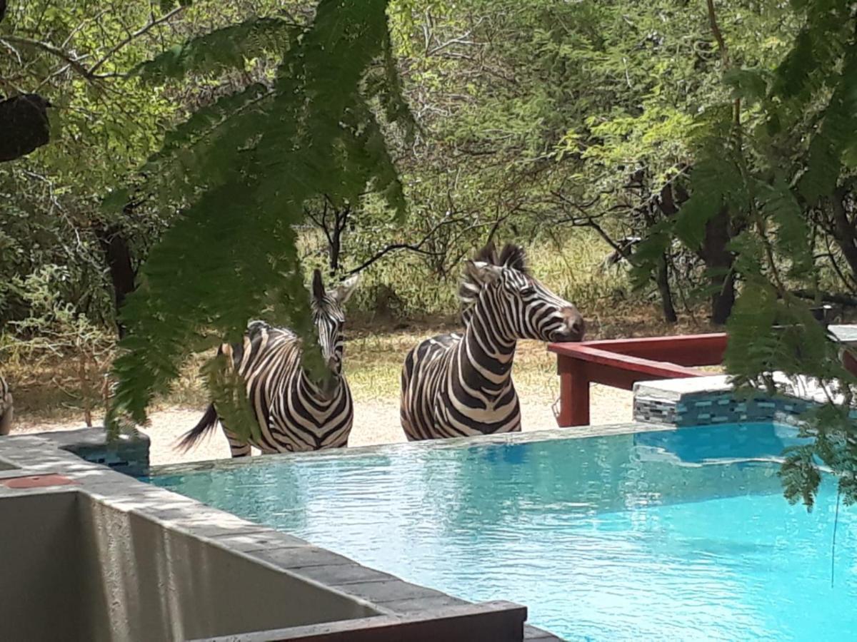 Turaco Lodge - No Loadshedding Marloth Park Eksteriør bilde