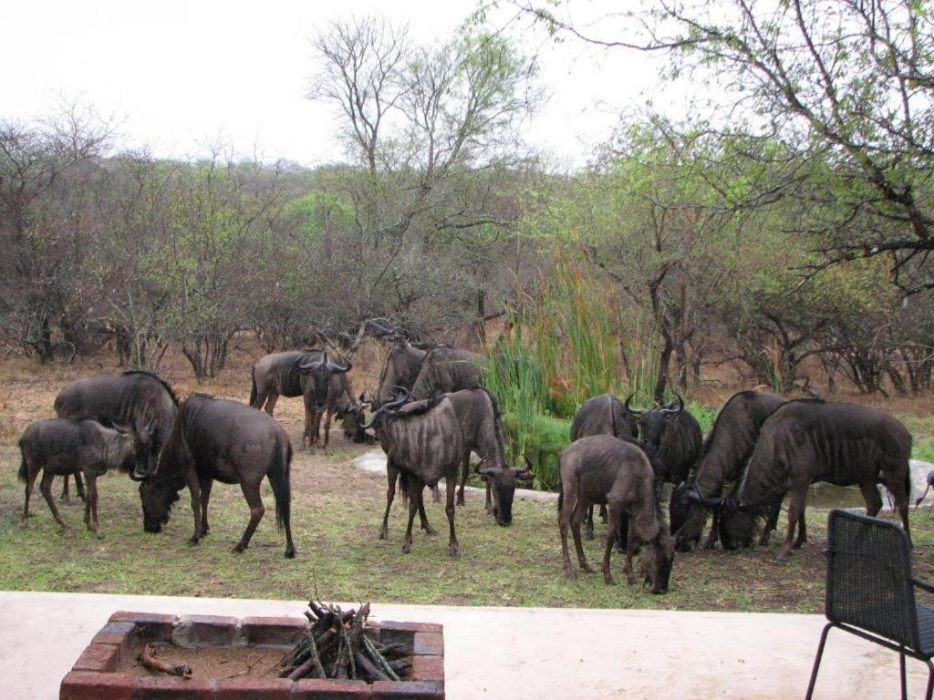 Turaco Lodge - No Loadshedding Marloth Park Eksteriør bilde