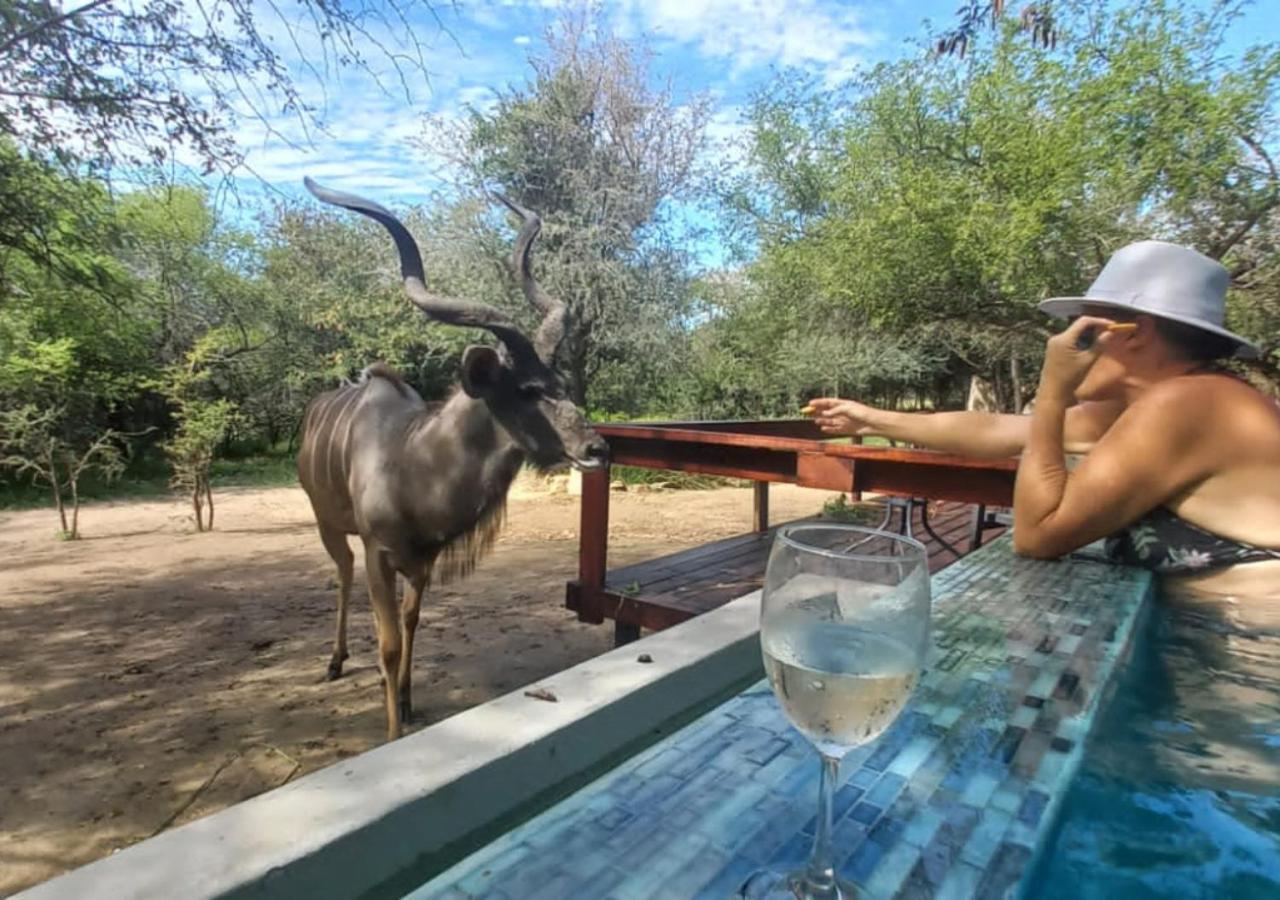 Turaco Lodge - No Loadshedding Marloth Park Eksteriør bilde