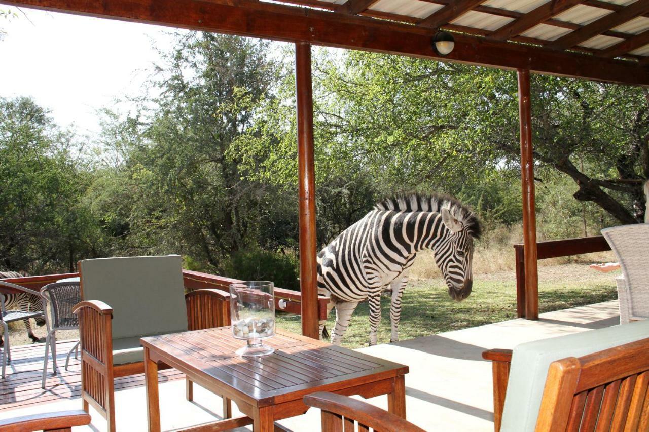 Turaco Lodge - No Loadshedding Marloth Park Eksteriør bilde